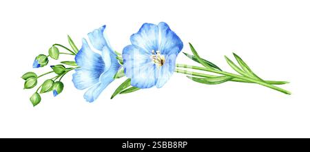 Blaue Flachsblüten. Handgezeichnete Aquarellillustration isoliert auf weißem Hintergrund Stockfoto