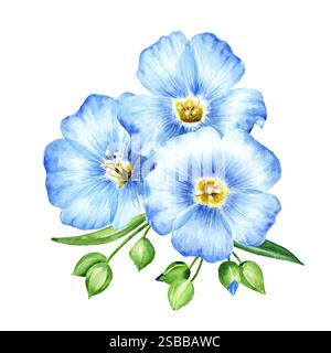 Blaue Flachsblüten. Handgezeichnete Aquarellillustration, isoliert auf weißem Hintergrund Stockfoto