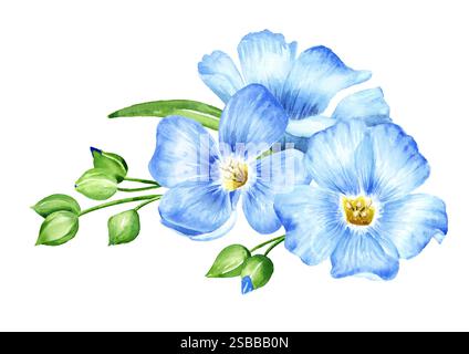 Blaue Flachsblüten. Aquarell handgemalte Illustration, isoliert auf weißem Hintergrund Stockfoto
