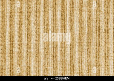 Ridge-Makrotextur aus Velours-Cordgelbtuch. Große gerippte, grobe Websamtgewebe, gestreifte Polsterung Textur Stoff Hintergrund, Möbel t Stockfoto