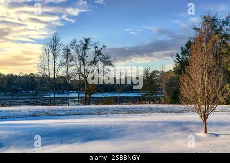 Schneebedeckte Landschaft und Morgensonne und Himmel im Norden Floridas von Tallahassee Stockfoto