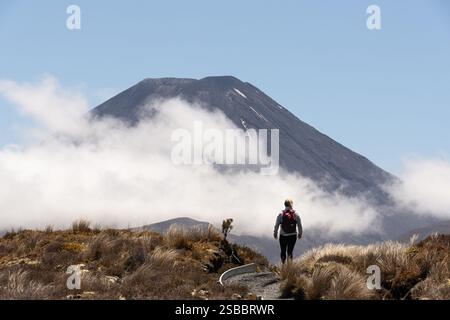 Wanderer auf der Tongariro Alpine Crossing mit Mount Ngauruhoe, Neuseeland Stockfoto