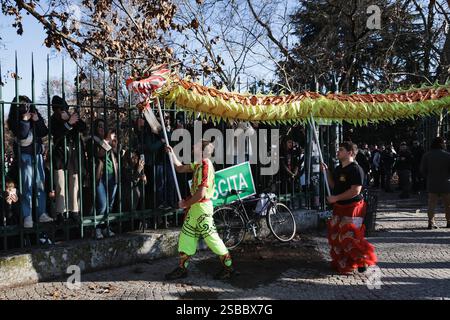 Mailand, die Parade für die Feierlichkeiten des chinesischen Neujahrs mit dem Tanz des Drachen und des Löwen im Jahr der Holzschlange am Arco della Pace. Auf dem Foto: Der Drache unter der Menge Stockfoto