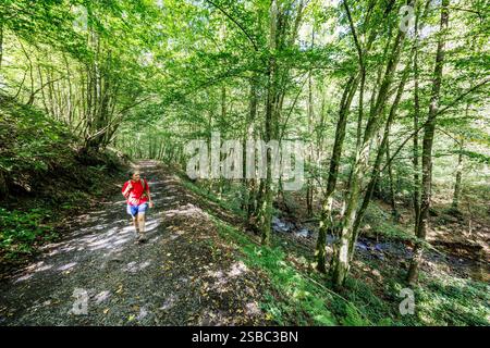 Frau, die auf der Strecke im Schieferbergbaugebiet im Tal des Ruisseau de Mohron läuft, Haybes, Ardennes, Frankreich Stockfoto