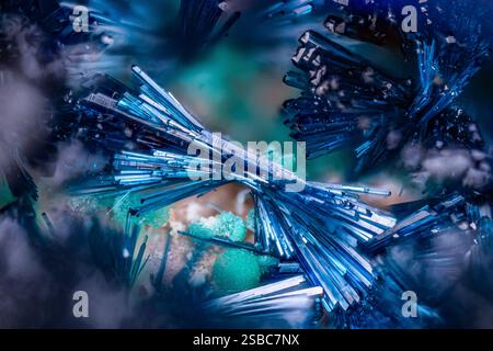 Hellblaue Clinoclase mit grünem Malachit. Exemplar aus der Clara-Mine, Oberwolfach, Deutschland. Mikrofotografie extreme Nahaufnahme. Mikroskop Mineral Stockfoto