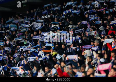 Barcelona, Spanien. Februar 2025. Barcelona, Spanien, 1. Februar 2025: RCD Espanyol-Fans während des Fußballspiels La Liga EA Sports zwischen RCD Espanyol und Real Madrid im RCDE-Stadion in Barcelona, Spanien (Judit Cartiel/SPP) Credit: SPP Sport Press Photo. /Alamy Live News Stockfoto
