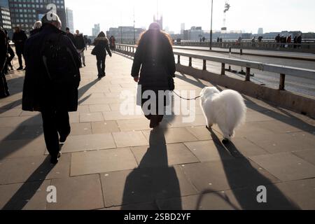 Rückansicht von Menschen, die an einem sonnigen Wintertag über die London Bridge spazieren gehen, und einer Frau mit flauschigem weißem langhaarigem Samoyhund an der Leine UK Stockfoto