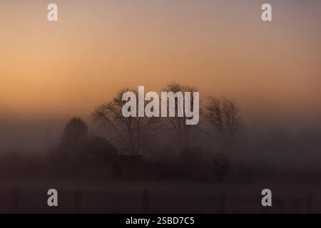 Morgengrauen Sonnenaufgang abstrakter schwerer dunkler Nebel auf Waldbäumen, Zaun im Herbst Herbstsaison Landschaft in Indiana Stockfoto