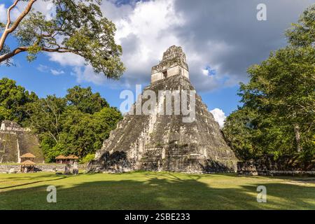 Tempel I, Tempel des Großen Jaguar, Tempel des AH Cacao, der alten Maya-Stadt Tikal im tropischen Regenwald Petén, El Peten, Gu Stockfoto