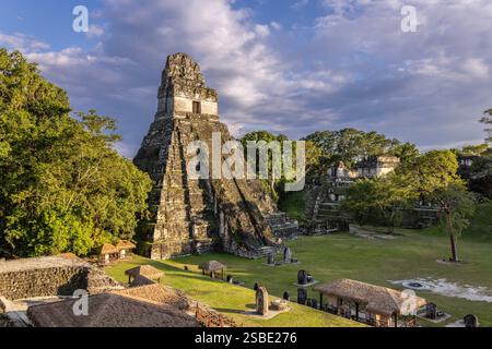 Tempel I, Tempel des Großen Jaguar, Tempel des AH Cacao, der alten Maya-Stadt Tikal im tropischen Regenwald Petén, El Peten, Guatemala Stockfoto