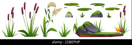 Feuchtgebiete Natursammlung - braune Welpen, beige Pampas Gras, moosbedeckte Felsen, grüne Lilienpads, helle Pilze auf Lehmboden. Ökosystemelemente für den Comic-Sumpf für die Gestaltung von Umweltumgebungen. Stock Vektor
