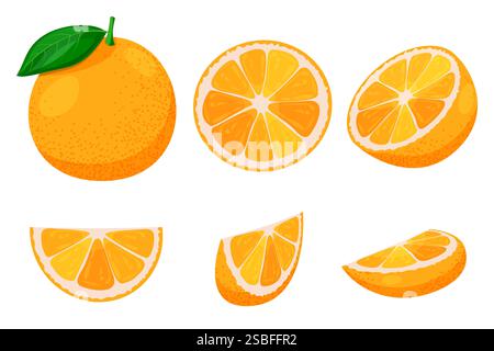 Reifes oranges Ganzes und in Scheiben geschnittenes Set isoliert auf weißem Hintergrund. Vektor flache Zeichentrickillustration. Design-Elemente mit tropischen Zitrusfrüchten Stock Vektor