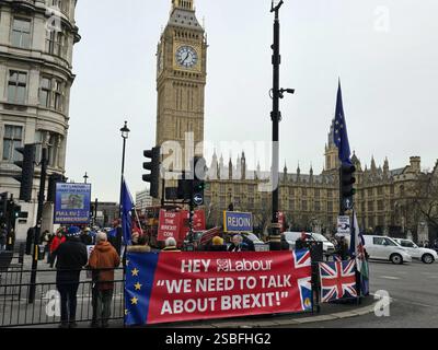 London, Großbritannien. Januar 2025. Eine kleine Gruppe von Demonstranten demonstriert für das Vereinigte Königreich, das wieder der Europäischen Union beitreten wird, auf dem Parliament Square in Westminster. Stockfoto