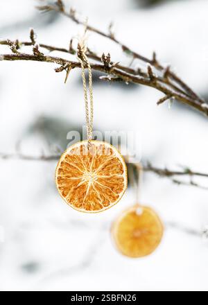 Zwei trockene Orangenscheiben hängen draußen an einem Büschelzweig in einem Wintergarten. Weihnachtliches Dekor im Freien. Stockfoto