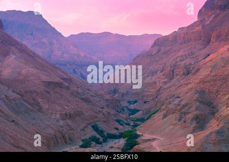 Berglandschaft in der Wüste am Morgen. Natur Israels. Masada Stockfoto