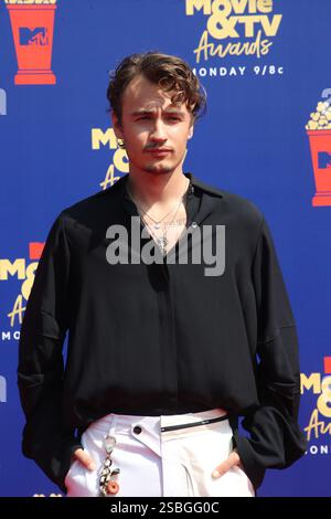 Brandon Thomas Lee bei den MTV Movie & TV Awards, Arrivals, Barker Hangar, Los Angeles, USA - 15. Juni 2019 Stockfoto