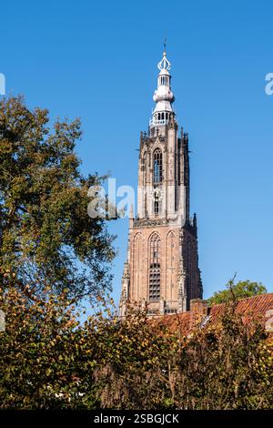 Der hohe Turm unserer Lieben Frau im historischen Stadtzentrum von Amersfoort an einem sonnigen Herbsttag in den Niederlanden. Stockfoto