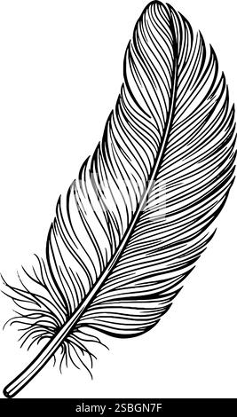 Eine detaillierte schwarz-weiße Illustration einer einzelnen Feder mit komplizierten Linien, die ihre zarte Struktur und natürliche Textur einfängt. Stock Vektor