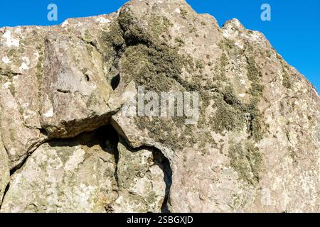 Moos auf einem Felsen Stockfoto