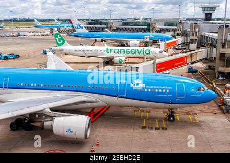 Amsterdam, Niederlande - 1. Juli 2024: KLM Royal Dutch Airlines und Transavia Flugzeuge am Flughafen Amsterdam in den Niederlanden. Stockfoto