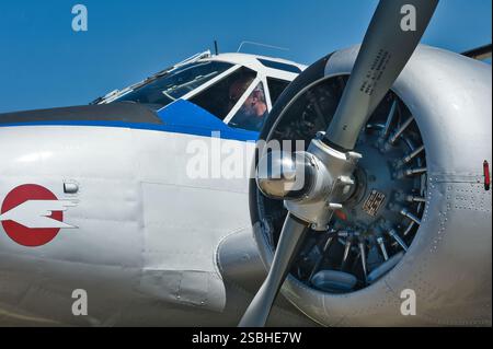 Beechcraft C-45 Twin Beech, Fundación Infante de Orleans Stockfoto