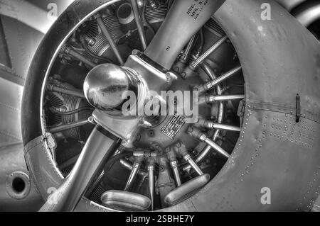 Beechcraft C-45 Twin Beech, Pratt & Whitney Wasp Junio Motor, Fundacion Infante de Orleans Stockfoto