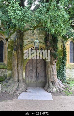 Ein Paar Eiben bewacht die Nordtür der St. Edward's Church in der Cotswold-Stadt Stow on the Wold Stockfoto