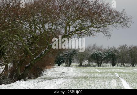 Leichter Schnee auf der Küstenebene von Chichester Stockfoto