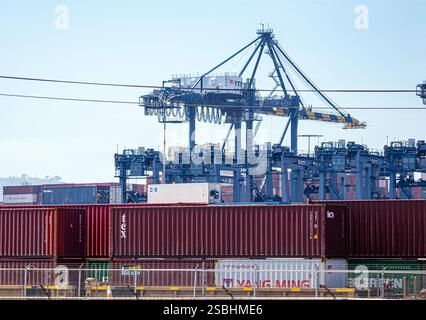 Kräne und Transportcontainer im Hafen von Los Angeles. April 2021 Los Angeles, CA USA Stockfoto