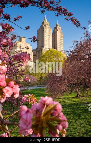 Frühling im Central Park: Kirschblüten und ein Wahrzeichen im Art déco-Stil im Central Park West Historic District der Upper West Side. Manhattan Stockfoto