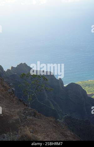 Goldenes Licht über der Na Pali Küste, Kauai – dramatische Klippen, üppige Täler und der Pazifik schaffen ein atemberaubendes tropisches Paradies. Stockfoto