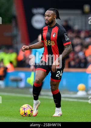 Bournemouth, Großbritannien. Februar 2025. Bournemouth Bournemouth, England, 1. Februar 2025: Bournemouth's Antoine Semenyo während des Premier League-Fußballspiels zwischen Bournemouth und Liverpool im Vitality Stadium in Bournemouth, England. (David Horton/SPP) (David Horton/SPP) Credit: SPP Sport Press Photo. /Alamy Live News Stockfoto