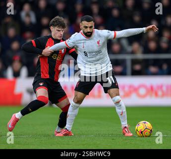Bournemouth, Großbritannien. Februar 2025. Bournemouth Bournemouth, England, 1. Februar 2025: Bournemouth's Milos Kerkez (links) kämpft im Vitality Stadium in Bournemouth, England, gegen Mohamed Salah (rechts). (David Horton/SPP) (David Horton/SPP) Credit: SPP Sport Press Photo. /Alamy Live News Stockfoto