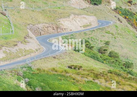 Kurvenreiche Straße, Dunedin, Otago, Südinsel, Neuseeland, Stockfoto