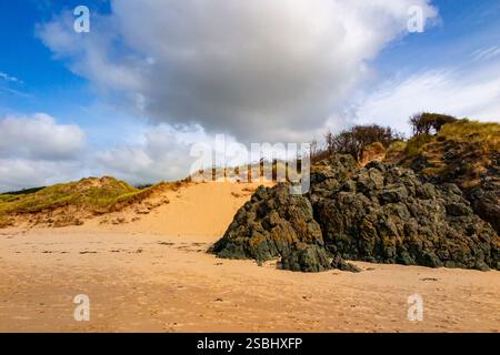 Traeth Penrhos ist ein Strand in der Nähe des Newborough National Nature Reserve an der Südwestspitze von Anglesey in Nordwales. Stockfoto