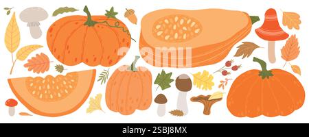 Herbstillustration mit verschiedenen Kürbissen, Kürbissen, Pilzen und bunten Herbstblättern. Perfekt für saisonale Designs, Thanksgiving Stock Vektor