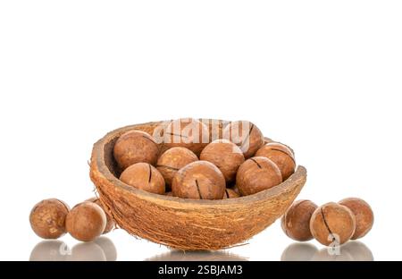 Mehrere Macadamia-Nüsse in Kokosnussschalen, Nahaufnahme, isoliert auf weißem Hintergrund. Stockfoto
