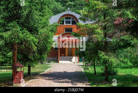 Ein charmantes Holzhaus liegt eingebettet zwischen üppig grünen Kiefern Stockfoto