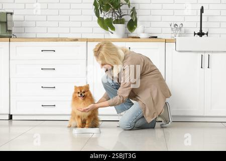 Reife Frau füttert süßen Pommerschen Hund in der Küche Stockfoto