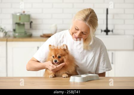 Reife Frau füttert süßen Pommerschen Hund am Tisch in der Küche Stockfoto