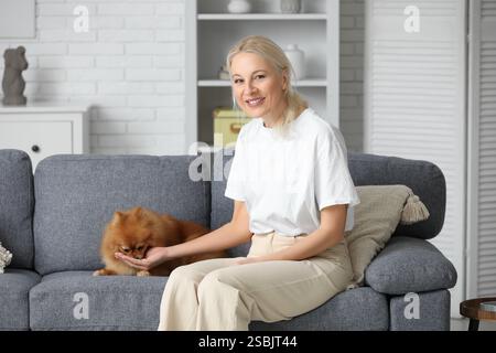 Reife Frau füttert süßen Pommerschen Hund auf Sofa zu Hause Stockfoto