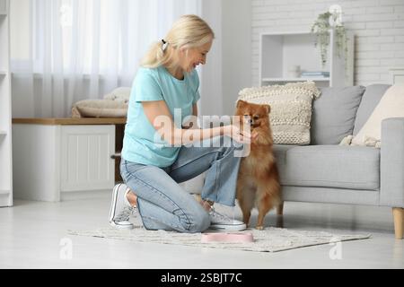 Reife Frau, die zu Hause süßen Pommerschen Hund füttert Stockfoto