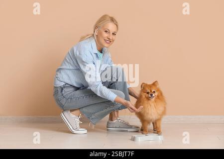 Reife Frau füttert süßen Pommerschen Hund nahe beiger Wand Stockfoto