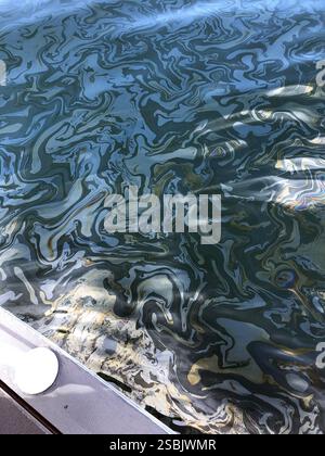 Wirbelmuster von Öl auf der Oberfläche von Ozeanwasser. Diese Ölpest ist eine Folge von natürlich vorkommenden Ölsickern im Pazifischen Ozean vor der Küste von Santa Barbara, Kalifornien. Stockfoto