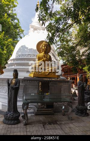 Sitzender Buddha, goldene Statue vor der weißen Pagode des Gangaramaya Tempels, Colombo, Sri Lanka Stockfoto