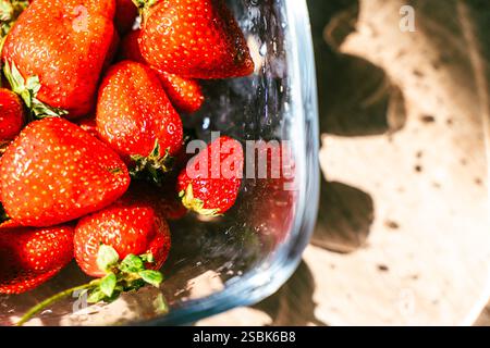 Erdbeeren in einer Glasschale. Helle, saftige Beeren auf dem Tisch. Ausgewählter Fokus. Ein Ort zum Kopieren des Bereichs. Hochwertige Fotos Stockfoto
