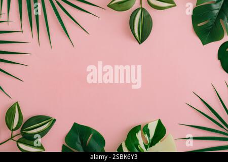 Bunte tropische Blätter auf pastellrosa Hintergrund. Minimales sommerliches Exotik-Konzept mit Kopierraum. Kreatives Design. Grenzanordnung. Stockfoto