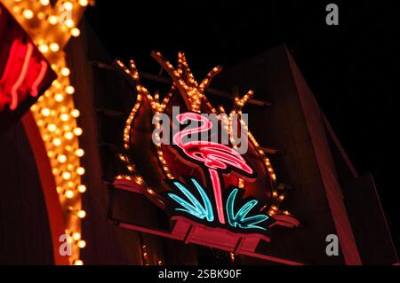 Neon-Flamingoschild, das nachts leuchtet, mit hellen Lichtern und Retro-Elementen Stockfoto