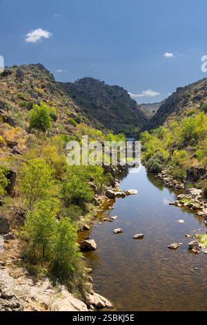 Parque Arqueologico Vale do CoA (CoA-Tal), UNESCO-Stätte, paläolithische Felskunst, Nord-Portugal, Portugal Stockfoto