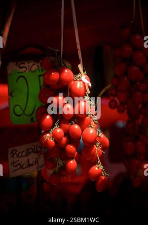 Tomaten auf der Weinrebe hängen von einem Marktstand in Zentral-Turin, Italien. Stockfoto